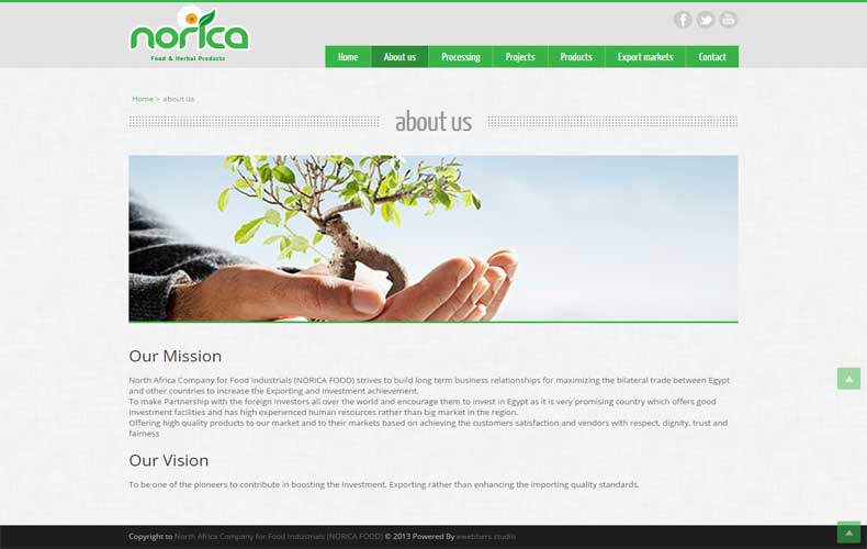 Norica Food Website Design and Development